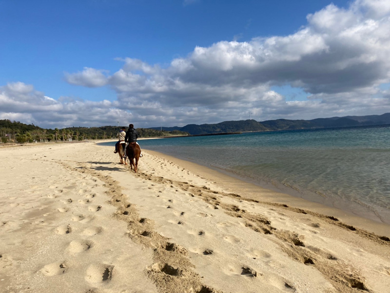 blog_jp_1001_66 blog_jp_1001_66